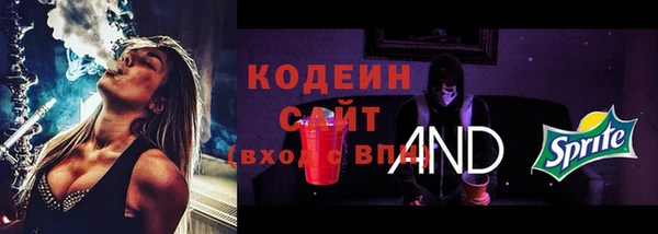 хмурый Магас