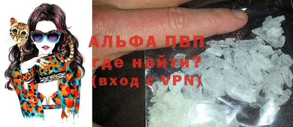 хмурый Магас