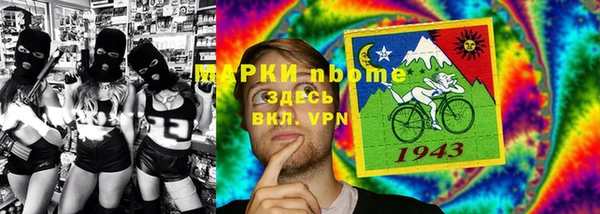 хмурый Магас