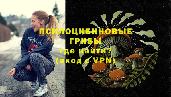хмурый Магас