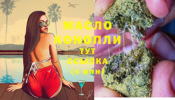 твердый Мегион