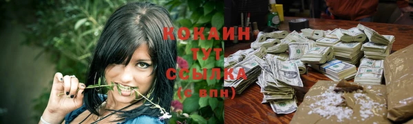 apvp Магадан