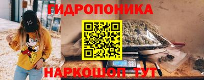 гидра Кандалакша