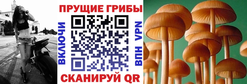 Псилоцибиновые грибы MAGIC MUSHROOMS  даркнет как зайти  Геленджик  хочу  