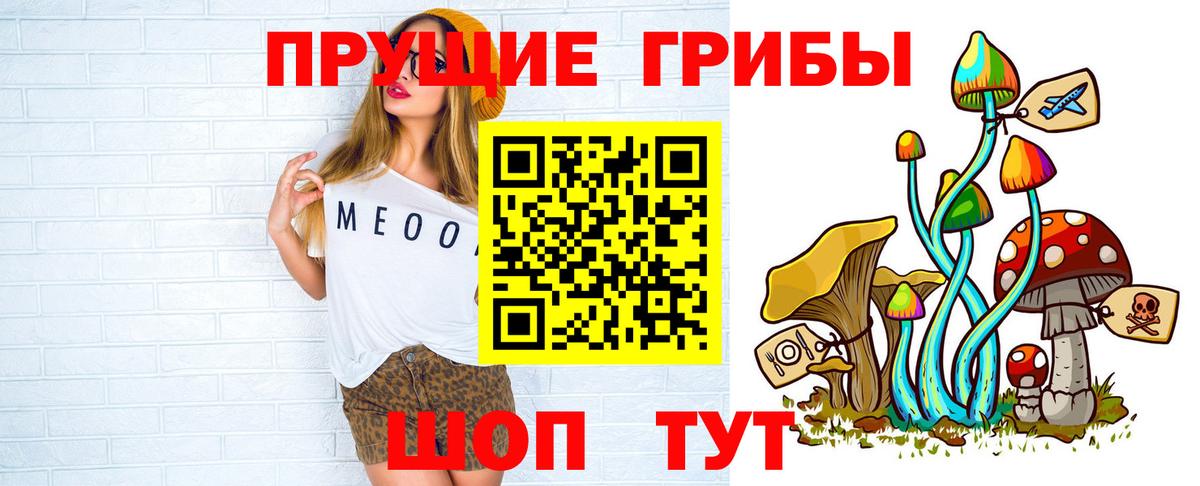Псилоцибиновые грибы мицелий Геленджик